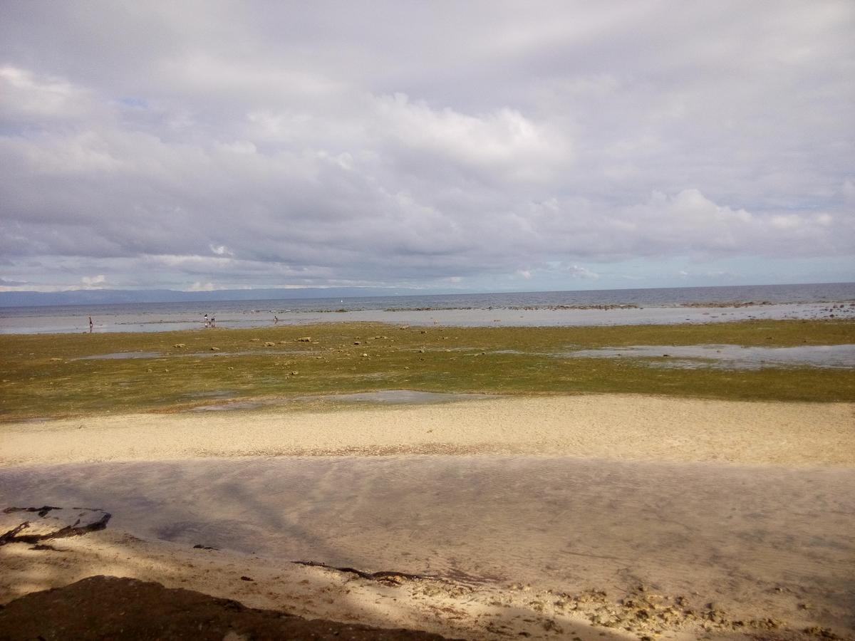 La Villa Alta Đảo Đảo Siquijor Ngoại thất bức ảnh